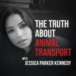 Jessica Parker Kennedy Instagram - Animal transport regulations in the United States are downright disgraceful, and there is no record of the USDA ever even enforcing the one weak law currently in place. This is unacceptable. Take action today by visiting MercyForAnimals.org/IAA (link in bio).   Narrated by Jessica Parker Kennedy 🔉 @jparkerk3 #JessicaParkerKennedy #IAA #IndustrialAgricultureAccountabilityAct #Transport #AnimalTransport #TakeAction #ProtectAnimals