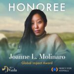 Jessica Parker Kennedy Instagram - JOIN ME TONIGHT at the @MercyForAnimals Gala! 🐮🐷🐥🐟🦃🦞 I’m so honored to be presenting an award at tonight’s ceremony where we recognize dedicated investigators and other devoted activists who have gone above and beyond to help expose the horrors of factory farming and help stop animal cruelty. You can stream the ceremony live! Link in my bio. #MercyForAnimals #MercyForAnimalsGala #ASPCA #JamesCromwell