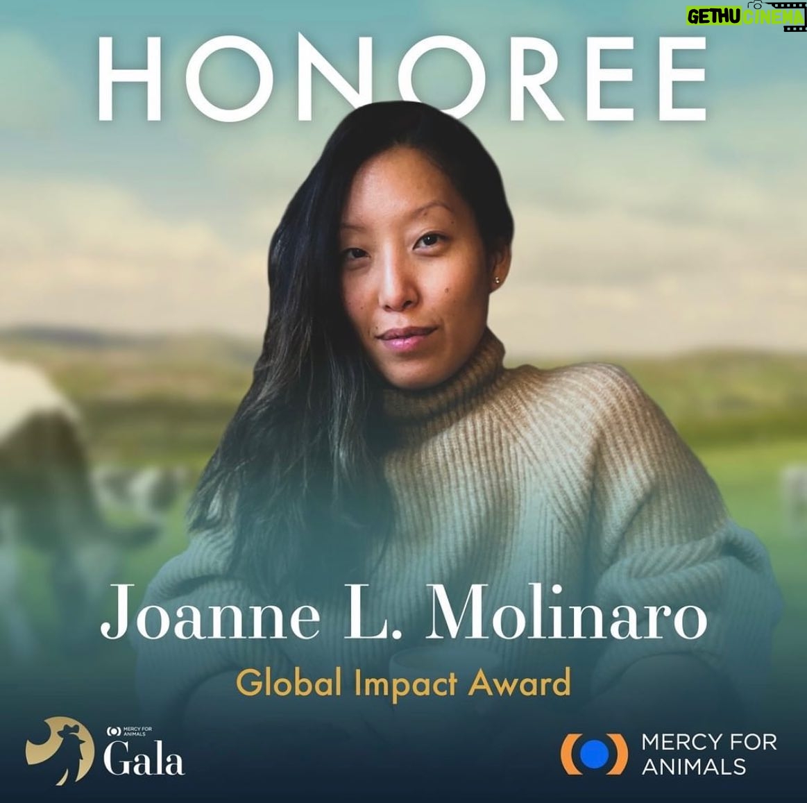 Jessica Parker Kennedy Instagram - JOIN ME TONIGHT at the @MercyForAnimals Gala! 🐮🐷🐥🐟🦃🦞 I’m so honored to be presenting an award at tonight’s ceremony where we recognize dedicated investigators and other devoted activists who have gone above and beyond to help expose the horrors of factory farming and help stop animal cruelty. You can stream the ceremony live! Link in my bio. #MercyForAnimals #MercyForAnimalsGala #ASPCA #JamesCromwell
