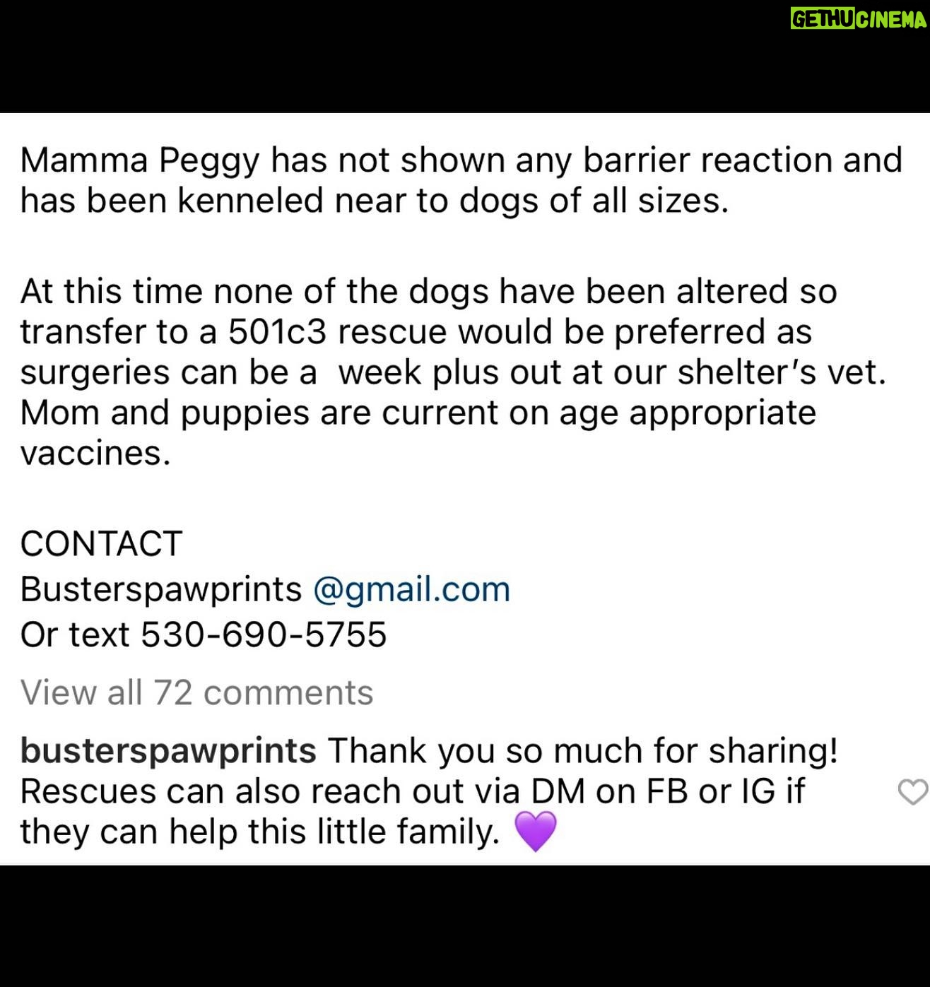 Jessica Parker Kennedy Instagram - 3 year old perfect Peggy and her 8 puppies are being fostered by @busterspawprints. For more information about how to help/rescue/adopt them, please swipe through this post for more info. PLEASE REMEMBER AND SPREAD THIS INFORMATION: Just ONE unaltered (not spayed) female dog and her offspring can produce 67,000 puppies within just 6 years. Please spay and neuter your dogs. Please adopt donโt shop and remember all breeds of dogs are inherently good. Please share these sweet pups so they can have a chance. ๐ถ๐ถ๐ถ๐ถ๐ถ๐ถ๐ถ๐ถ๐ถ #InherentlyGood #AdoptDontShop #SpayandNeuter