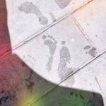 Jessica Pimentel Instagram - Footprints by the pool... I was caught off guard when I saw my wet footprint was actually shaped like a foot, an impression which I havent seen since I was a kid. I don't see my bare, wet footprints outside often, so I don't know how long they've been like this.You see, for most of my life, my footprint looked more like a potato with five dots on top. At the darkest times of my life my footprint looked like a brick. I asked myself, what has changed since then? I wear the same kind of shoes basically and I weigh more than I did ten years ago which you'd assume would make my feet flatter. This made me suspect that perhaps the answer is not physical but metaphysical. Over the years, I've let go of everyone that held me back, put me down, and made me doubt myself. I didn't realize until this moment, how much anger, fear, pain and negativity weighs. Especially when it comes from others. It literally weighs you down and crushes you. I have let go of the dead weight but kept the lessons alive in my heart. Things can change and you can make an effort to change them. Im so greatful to my wonderful partner who constantly demonstrates unconditional love and respect. I'm so thankful to be surrounded by heroes, teachers, peers and students who inspire me constantly, force me to be better, encourage me to fly higher and challenge me to break out of my habitual comfort zone. I'm taking it day by day and step by step towards a future of fulfilling our meaningful dreams together. Whether we walk side by side, in a single file or we need to push, pull and carry each other to our goals, I'm here for you... With feet shaped feet or better from now on. You know who you are. 👣🧱🏋🏽‍♀️ 🙏🏽🦇🧿🎶🎬 💎💃🏽🎭📖