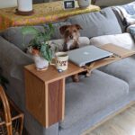 Jessica Rothe Instagram – I tried to think of a clever pun for this photo but quarantine has broken my brain. So here is a cool ass couch desk made by @brooklynbowyer and a really cute dog. I love them both ❤️#workfromhome #woofinhardorhardlywoofin #ilovemydog