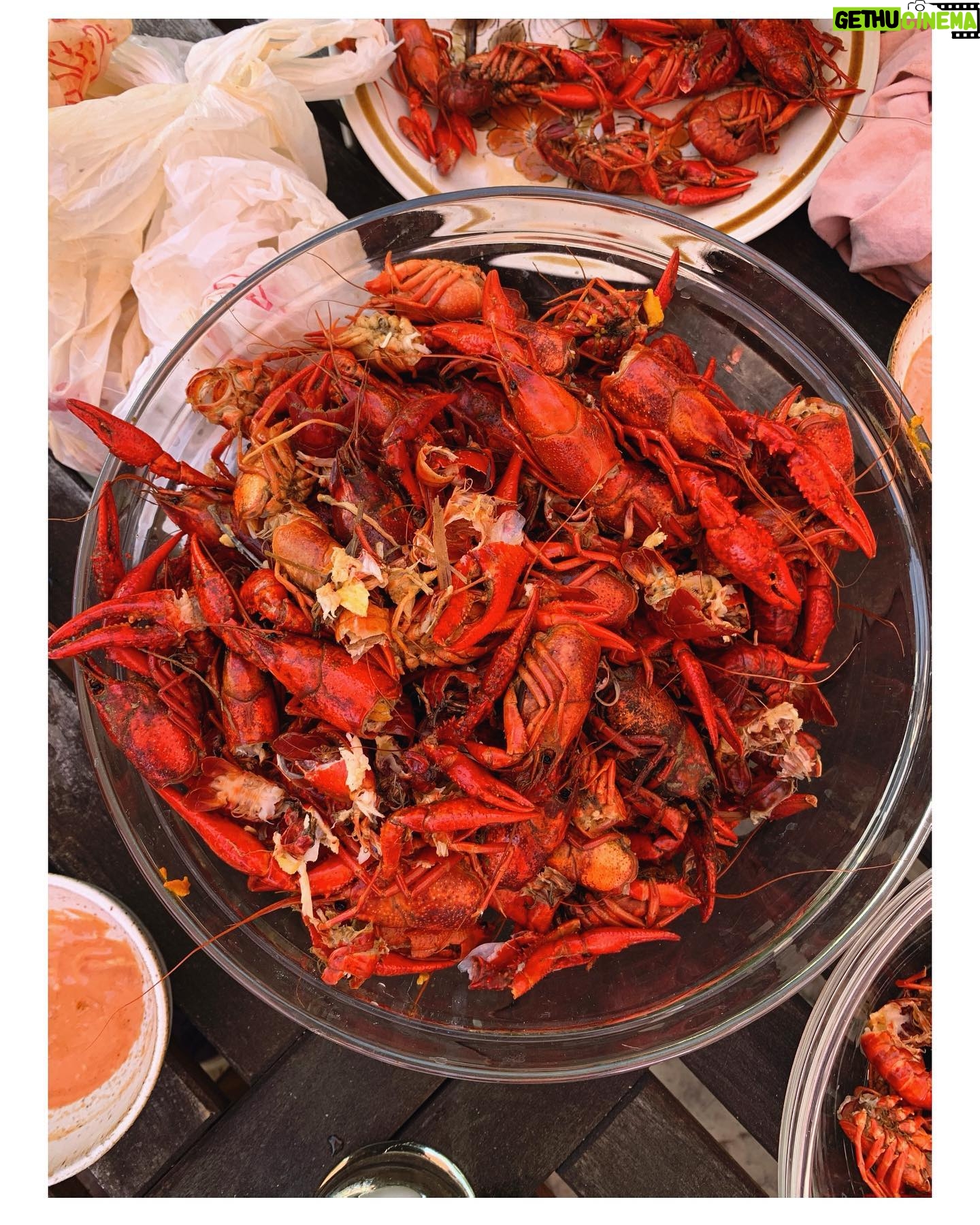 Jessica Rothe Instagram - Shout out to @beaucoupcrawfish for bringing some serious NOLA realness to LA (and for making my hubby a very happy chappy) ❤️🦞❤️ #crawfish #mudbugs