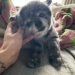 Jessica Stroup Instagram -
