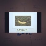 Jessica Stroup Instagram – @sylvanesso is doing cool stuff on her website sylvanesso.com right now. I love me some weird dancing and art ..especially with her new music. 🍌💖🎧