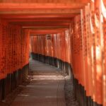 Jessica Veranda Tanumihardja Instagram – The red gates.
.
.
.
📸: @pajay.s
