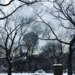 Jessica Watson Instagram - A little dusting of snow making a morning walk through New York’s Central Park extra special 👌❄️⛄️🥶