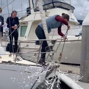 Jessica Watson Instagram - Because an opportunity to celebrate should never be wasted. 

It’s notoriously bad luck to rename a boat without the proper fuss so finally getting the name on was the perfect excuse to raise a glass. 

Credence was her original name, so it’s lovely to take her back to her heritage. 

🎬 Credits:
- Huge thanks to @sandringhamyachtclub Commodore Sue for conducting formalities 
- Sis, for swinging the bottle - such fun! 🍾
- Everyone who braved some questionable Melbourne weather to raise a paper cup of bubbles