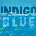 Jessica Watson Instagram - How cute is this! 💙 Excuse the #bookspam, but I'm a little excited that Indigo Blue will be hitting the bookstores tomorrow! 🎉 Click the link in my bio for all the book details. 📚 #novel #fiction #books #reading #mglit #middlegrade #middlegradebooks #storytelling #bookish #indigoblue