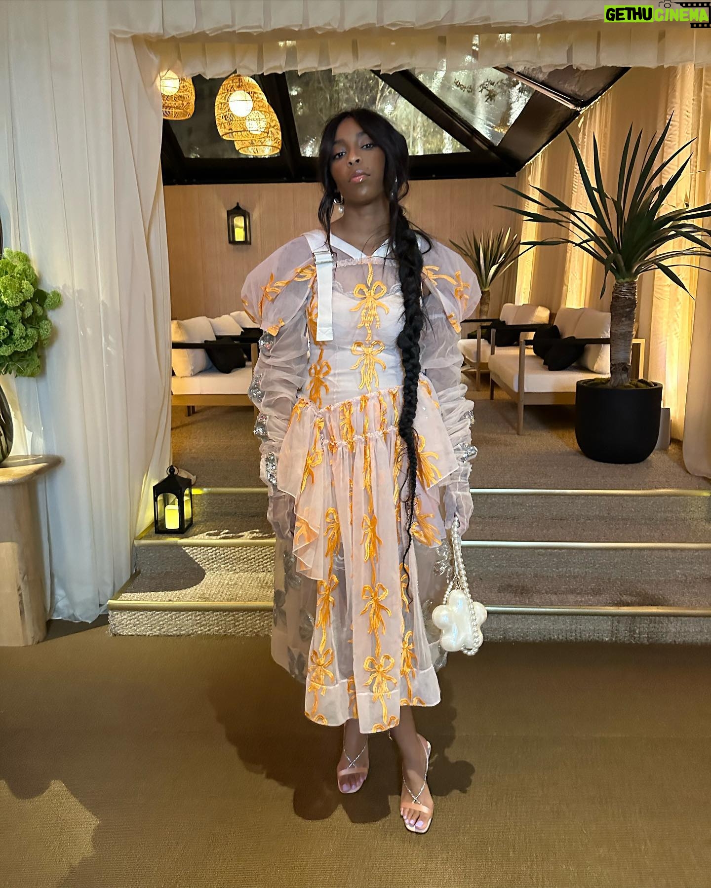 Jessica Williams Instagram - Got to wear @simonerocha_ to the @sagawards after party a couple weeks ago and the dress and gloves and purse straight up made me GLOW. Hung with my bestie @sallywallylee & met and fell and love with the Severance gals! Highlights! Makeup// @danadelaney Hair// @alexander_armand Dress// @simonerocha_ Stylist// @sarahslutsky