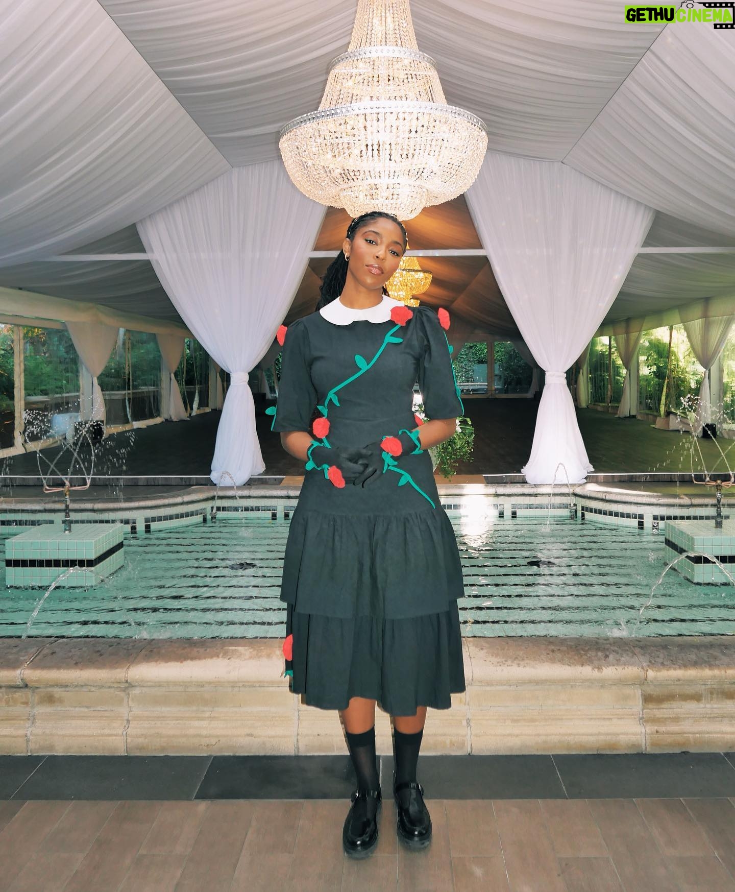 Jessica Williams Instagram - SHRINKING press day in LA for @appletvplus !!!! In this @samanthapleet dress and gloves that just… 😩😩🥹!! 🥀🌹🥀 Dress & gloves// @samanthapleet Shoes// @reformation Socks// @wolford Stylist// @sarahslutsky Makeup// @cherishbrookehill Hair Styling// @marciahamilton