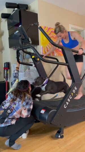 Jessie Graff Instagram - Run Paula, run!
Rainy days, training with @jackiemguerra and @pittypaulaspack . Thanks @oliviavivian and Sunshine for cheering us on!