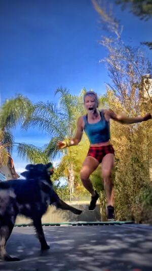 Jessie Graff Instagram - Have you ever met a dog that likes trampolines!? Definitely adds a new element to training!
#ninjatraining #trampolines #ingroundtrampoline #dogontrampoline #barefootshoes
