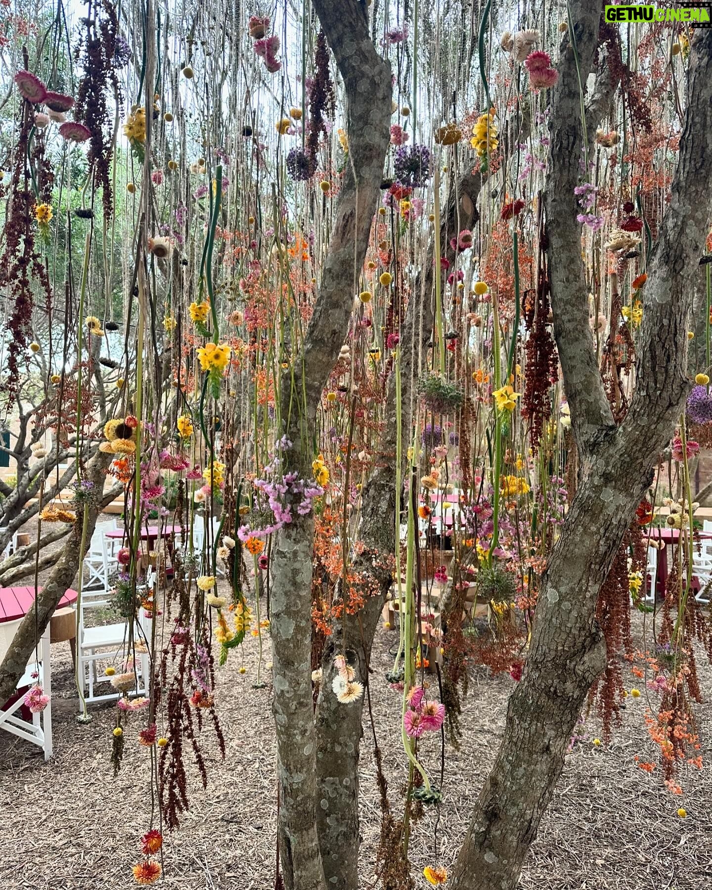 Jessie Ware - 13.9K Likes - Gorgeous few days in Menorca - visiting @hauserwirth in the pouring rain, eating a lot of croquettes and caldereta, drinking delicious Menorcan wine, relaxing at the 18th century Manor Son Vell @vestige.collections where I felt like I was a lady of Bridgerton, reading, losing UNO and hiking to turquoise sandy beaches in unsuitable footwear. Ready for the summer of festivals ahead!!! X