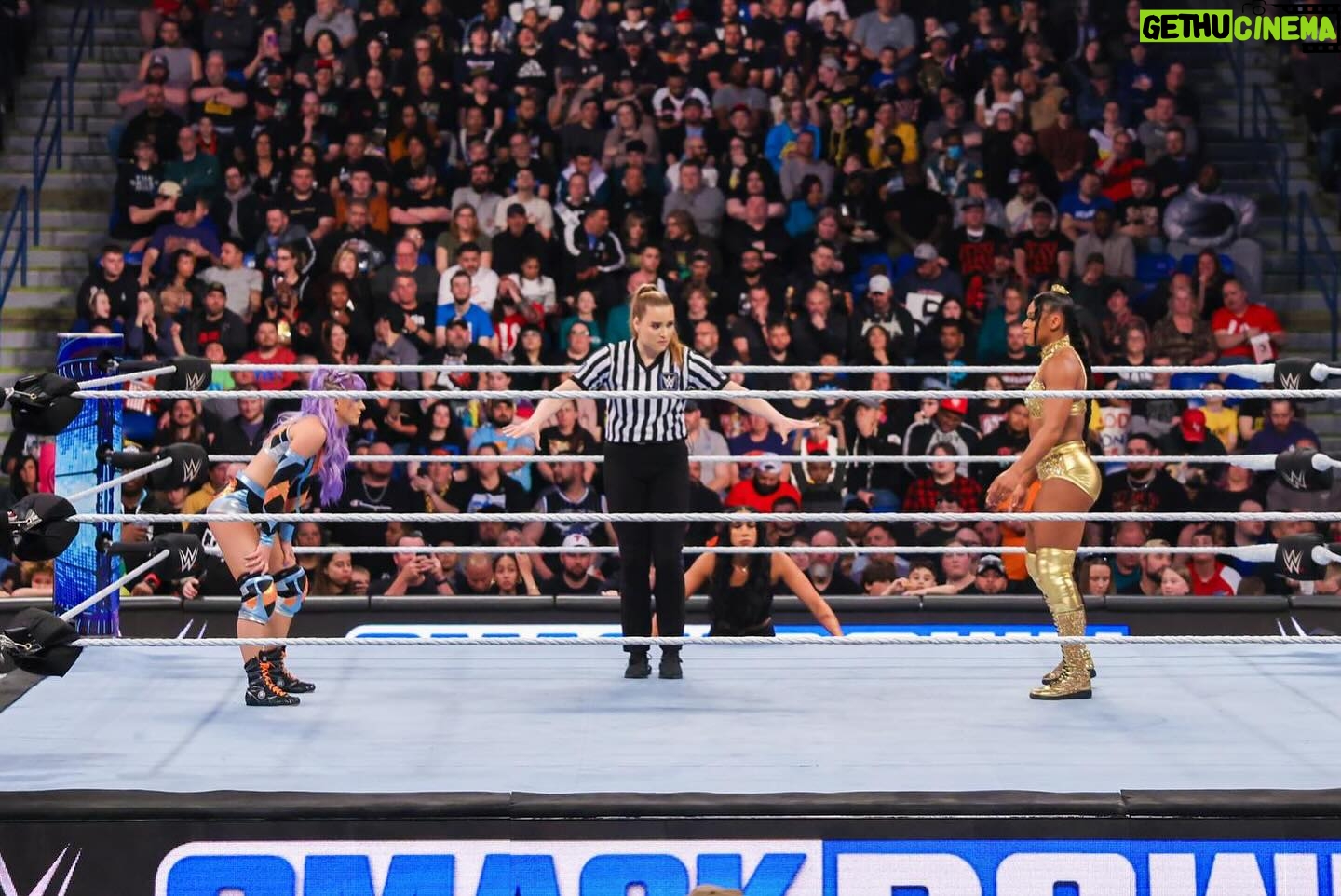 Jessika Evelyn Heiser Instagram - The Queen and King of the Ring Tournament has been 🔥 Proud to be amongst the babes of the blue brand last night 🩵🩵 ✈️ Headed out to our live events in Chattanooga TN and Macon, GA! Let’s have fun! 💪🏻 #smackdown #biancabelair #candicelerae #naomi #niajax #jessikacarr #ladyrefjess