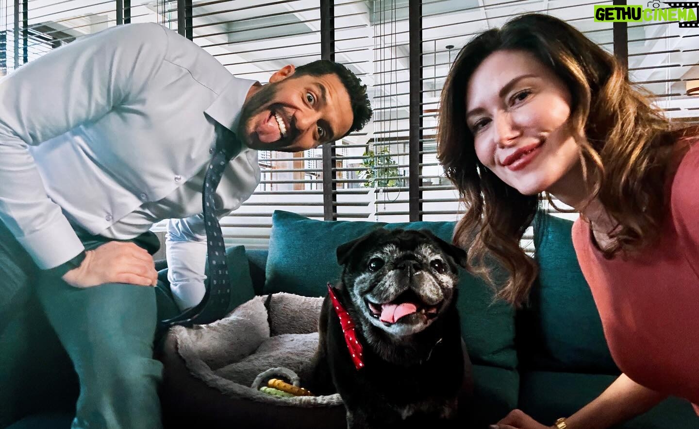 Jewel Staite - 5.6K Likes - Lately 🐶🐱🎉💖