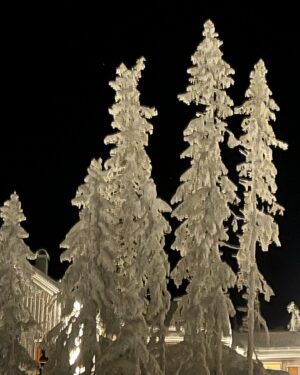 Jill Johnson Instagram - Vinterland och jag upplever barnslig lycka🎅🏼⛄️!
@mattiaselg.psykolog ♥️