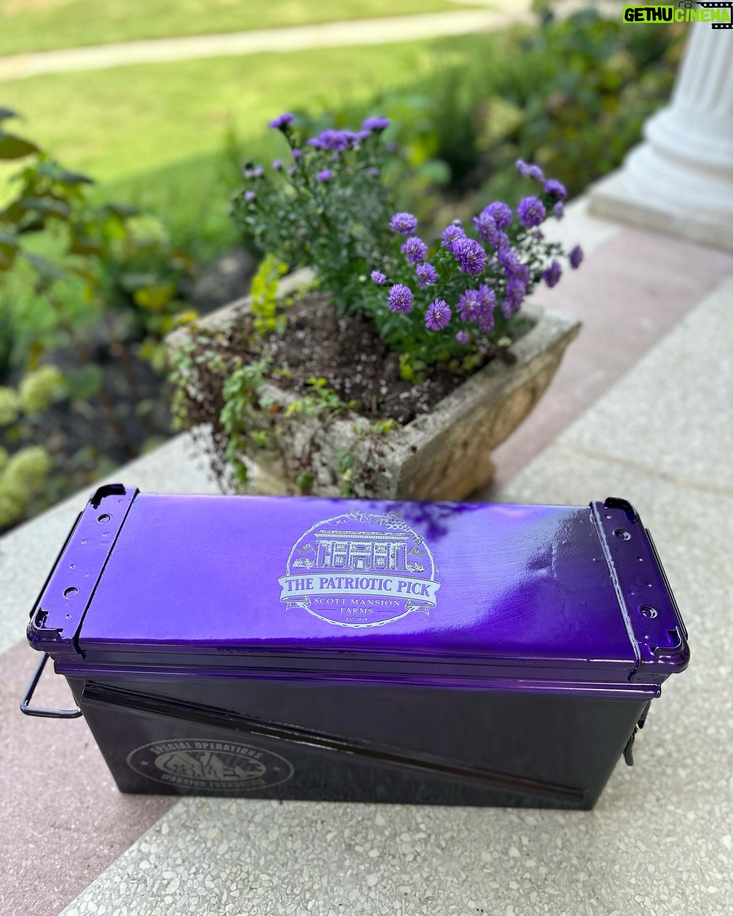 Jill Wagner Instagram - Thank you @bottlebreacher for this cool ammo box !!! It is going in the silent auction for the #PatrioticPick !!! @sofwarriorfnd