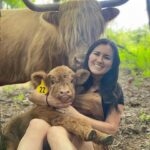 Jill Wagner Instagram - I have to give a huge shout out to my friend Emily who is driving all the way from North Carolina with her babies for you guys to meet them at The Patriotic Pick !! . One of them may never leave the farm… sorry @urban_cimo ! Hahahah @happyhensandhighlands
