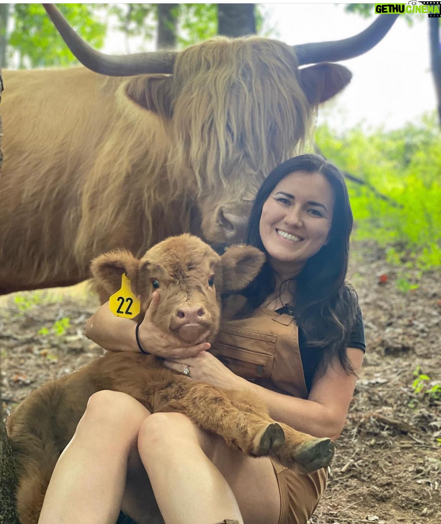 Jill Wagner Instagram - I have to give a huge shout out to my friend Emily who is driving all the way from North Carolina with her babies for you guys to meet them at The Patriotic Pick !! . One of them may never leave the farm… sorry @urban_cimo ! Hahahah @happyhensandhighlands