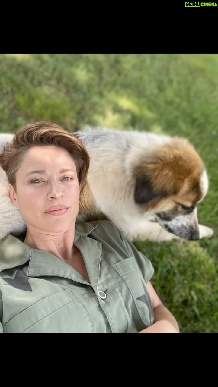 Jill Wagner Instagram - Happy Birthday Boy ! We love you Hank !