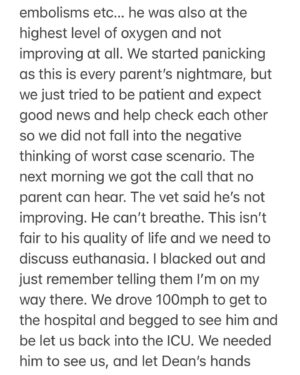 Jillian Murray Instagram - UPDATE on Lyric - swipe through 

Sorry for typos and sloppy writing. I haven’t slept in 5 days