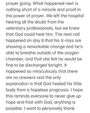 Jillian Murray Instagram - UPDATE on Lyric - swipe through 

Sorry for typos and sloppy writing. I haven’t slept in 5 days