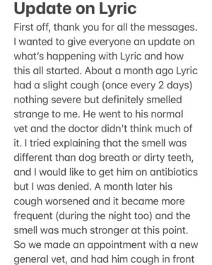Jillian Murray Instagram - UPDATE on Lyric - swipe through 

Sorry for typos and sloppy writing. I haven’t slept in 5 days