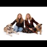 Jillian Bell Instagram - Got to take some pictures with the amazing @charlienunnphotography to raise money for @wagsandwalks 🐶❤️ The level of joy these babies add to my life is immeasurable. They have my whole heart. ❤️❤️❤️