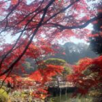 Jillian Bell Instagram - JAPAN!!!! PART ONE (but only if people demand more Japan content— please be very specific if you need more guys, I can’t tell, oh God, how much should I share? Is this enough? Do we get it from this post or do we need more? Oh God. Oh God.)