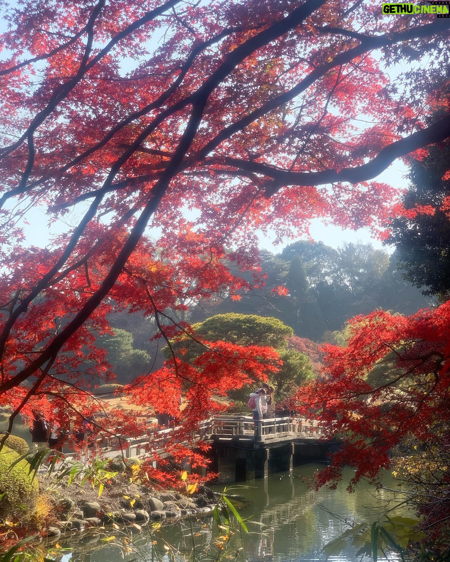 Jillian Bell Instagram - JAPAN!!!! PART ONE (but only if people demand more Japan content— please be very specific if you need more guys, I can’t tell, oh God, how much should I share? Is this enough? Do we get it from this post or do we need more? Oh God. Oh God.)