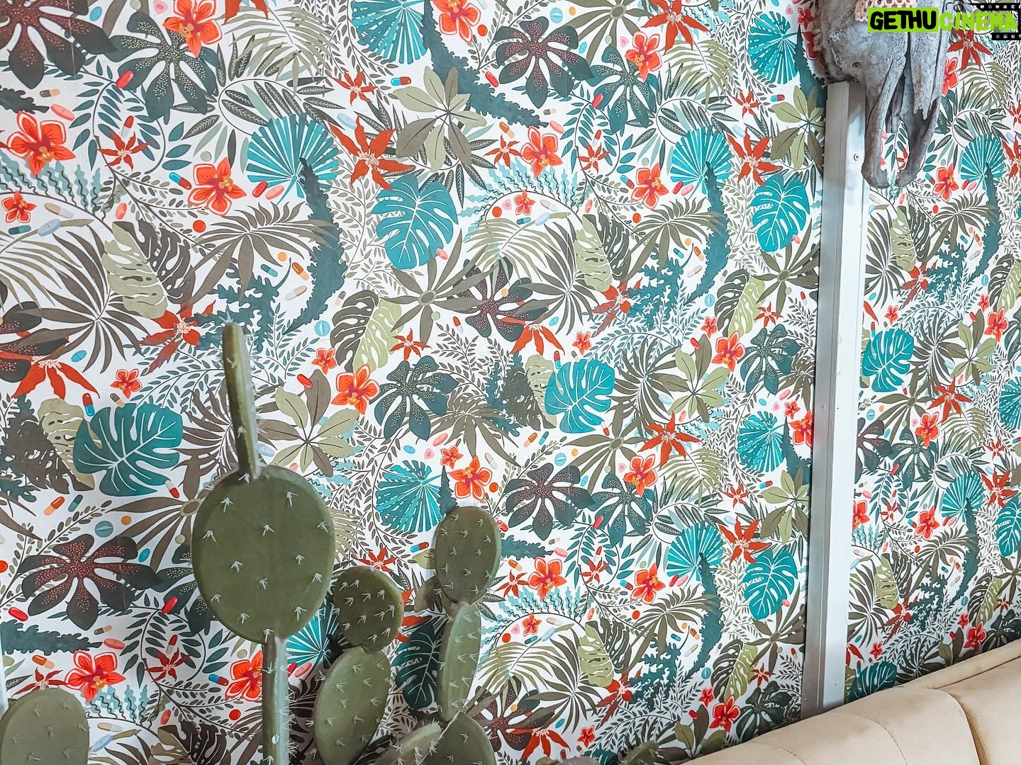 Jillian Rose Reed Instagram - Wanna hear a story about this wallpaper? πΈ the story is I had NO idea when I bought it that this botanical print had little tiny pills π all over it π itβs so strange but wonderful and we love this weird happy accident π΅πΈ swipe to take your meds π