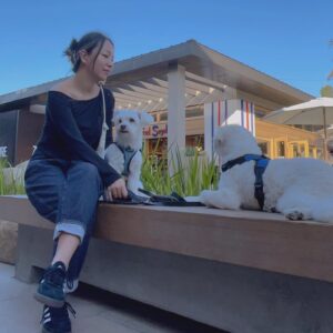 JinJoo Lee Instagram - I’ve been touring since when I was 14 yrs old and this tour has been hard cuz I am older then ever 😅🙃 and 3 hours show is really a journey! But I’m so so grateful to be a part of my favorite brothers tour☺️! And fans been so sweet and welcoming. I highly recommend to come see the show cuz it’s a really really good show!!! Also, I got to see Switchfoot’s live 🥹😫 and I got to be home for a bit and that was delightful 🥰 ok bye! 😘
