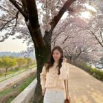 Jin Se-yeon Instagram - 🌸🌸🌸