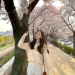 Jin Se-yeon Instagram - 🌸🌸🌸