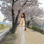 Jin Se-yeon Instagram - 🌸🌸🌸
