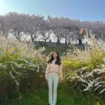 Jin Se-yeon Instagram - 🌸🌸🌸