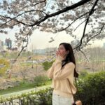 Jin Se-yeon Instagram - 🌸🌸🌸