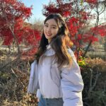 Jin Se-yeon Instagram - 단풍이 없어요 이제🥲🍂