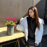 Jin Se-yeon Instagram - 🍁🍁🍁