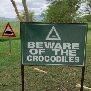 Jo Ellen Pellman Instagram - it’s time to ⚠️BeWare of the Crocodiles⚠️
