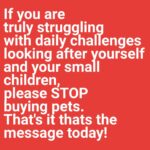 Jo Frost Instagram – Between the hamster,birds,puppies,snake,kittens,
chickens and everything else please stop rescuing. Save yourself FIRST, focus on your children, learn to say No.

Children need to learn responsibility be consistent with tasks FIRST. Stop romanticizing after seeing a cute elephant on tik tok!
Parents you are already energized out, stop loading your plate.

Animals require much energy love and care. Hold off until you see such proof to consider.  Jo x

#Helpingfamiliesshine💫