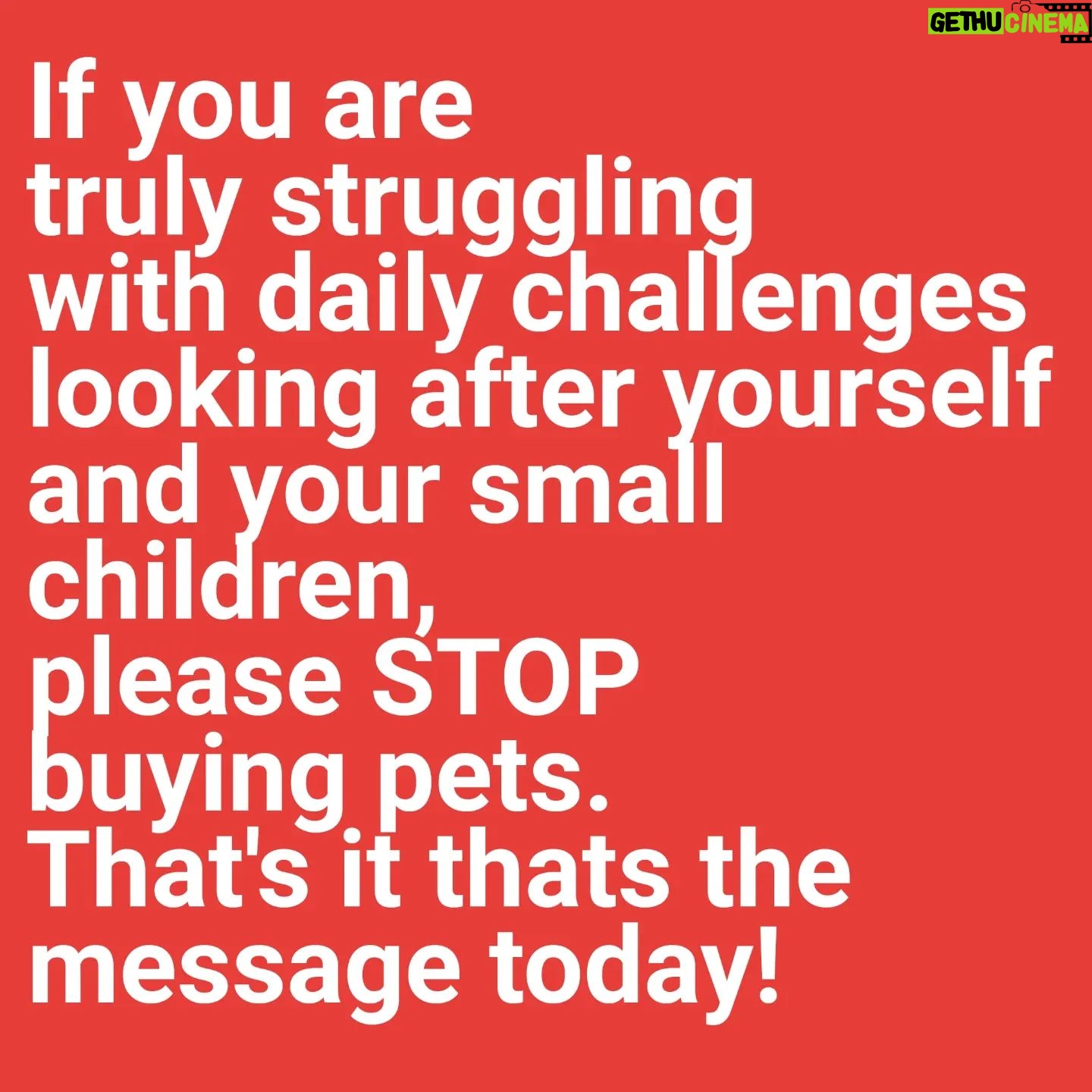 Jo Frost - 5.6K Likes - Between the hamster,birds,puppies,snake,kittens,
chickens and everything else please stop rescuing. Save yourself FIRST, focus on your children, learn to say No.
Children need to learn responsibility be consistent with tasks FIRST. Stop romanticizing after seeing a cute elephant on tik tok!
Parents you are already energized out, stop loading your plate.
Animals require much energy love and care. Hold off until you see such proof to consider. Jo x
#Helpingfamiliesshine💫