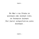 Joana Seixas