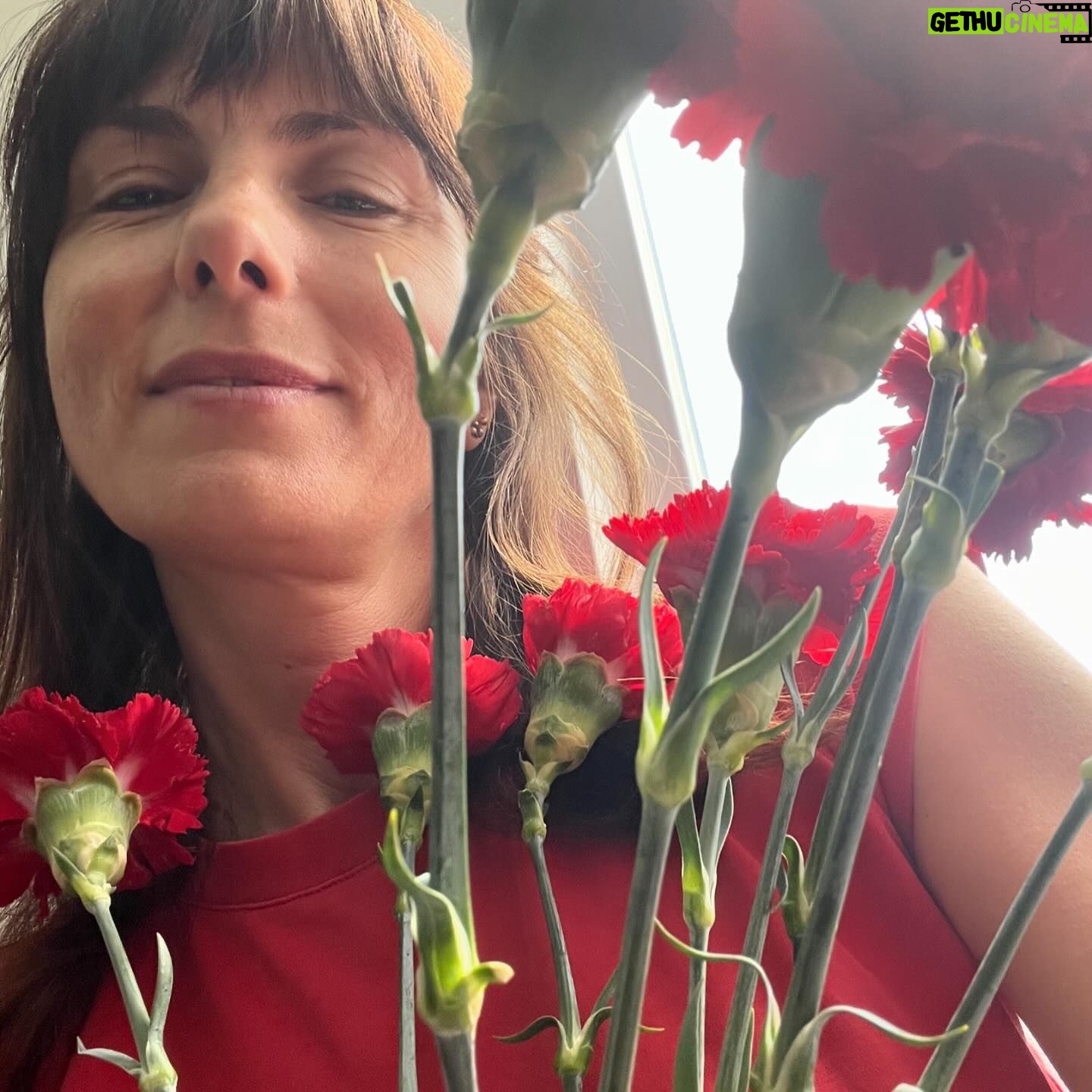 Joana Seixas - 3 Likes - ••• O dia mais bonito do ano ♥️
Hoje emocionei-me tanto e foi tão bom!
Dei abraços, queria ter dado mais, eram tantos os braços de cravo na mão que foi difícil vê-los a todos.
A mais bela Revolução de sempre foi celebrada por muitos.
O Povo sabe que quando tem que sair à rua sai à Rua. E hoje éramos muitos e todos vamos ser necessários para continuar a lutar pela Liberdade.
Parabéns ao 25 de Abril!
Parabéns à minha irmã @seixassara que nasceu do dia da Liberdade.
25 de Abril Sempre! Fascismo nunca mais!
#25deabrilsempre #50anos25deabril #Liberdade