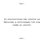 Joana Seixas