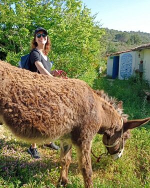 Joana de Verona Instagram - Dizem que é dia internacional do Burro.
Este é o Emil.
Eles são lindos e fazem-nos muy bem! 🐌🦒🐎