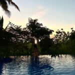 Joana Aguiar Instagram - Já fui e já voltei. Desliguei… aproveitei ao máximo e agradeci… muito 🦋🤍