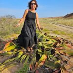 Joana Cruz Instagram - A Serra da Leba por entre espaços de nevoeiro, pés molhados na cascata, visita ao Arco no meio do deserto, a subida às Colinas e a planta carnívora welwitschia mirabilis que eu tive medo que me comesse 😅😅, o Namibe é lindo de se ver✨️💛 E há paisagens que só mesmo ao vivo é que atravessam o coração, mas vou fazendo por aqui o que posso 🤩 #namibe #angola