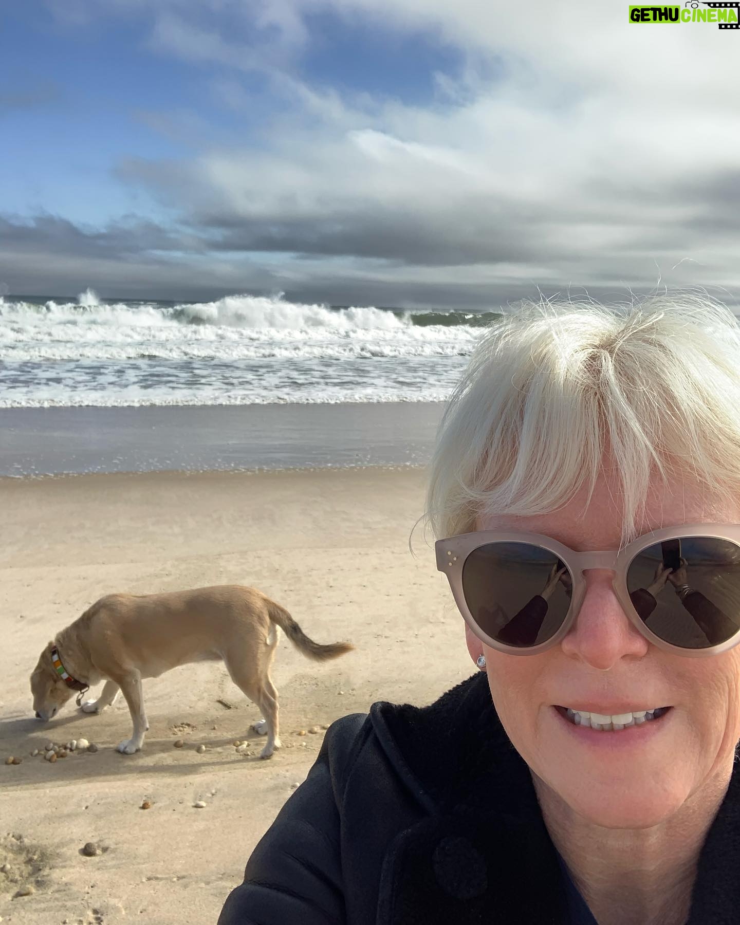 Joanna Coles - 0.9K Likes - Ugh, intended to read/write and organize. Instead spent all afternoon #WFH - walking from home - with Phoebe 🐕